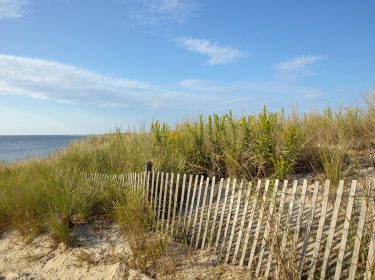 New home development near Lewes beaches at Olde Town